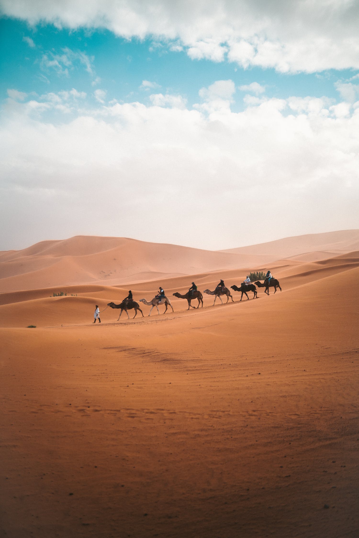 Camel trekking from Hotel Kasbah Takojt Merzouga